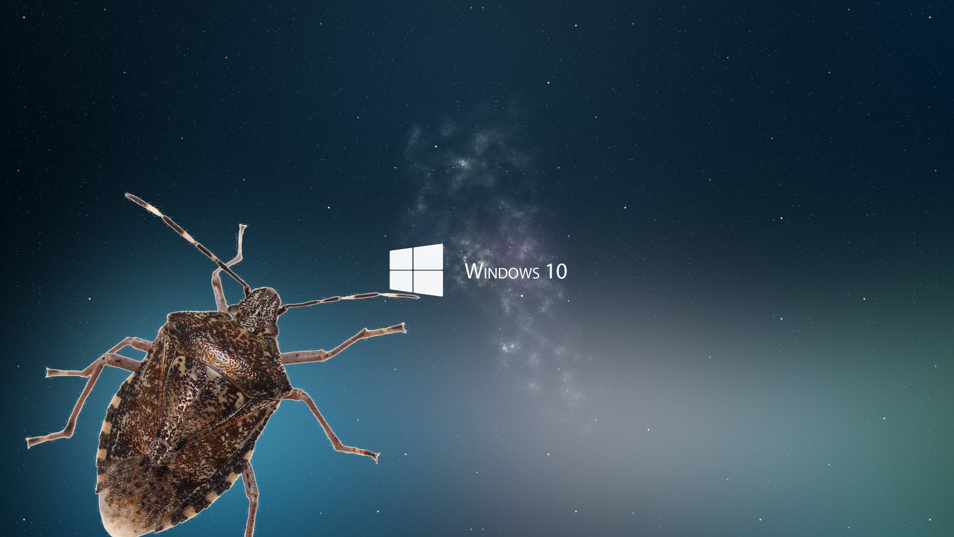 A Microsoft túltolta a biztonsági intézkedéseket.