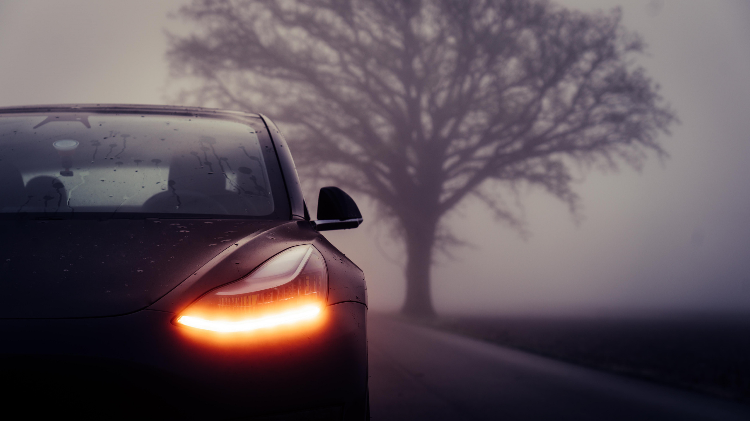 Késõn ért haza néhány Tesla-tulaj, nem mûködött a mobilos alkalmazás. (Kép: avto.goodfon.com)